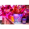177915 18 gardlov 16348 led lampicka pro pestovani rostlin s klipem grow 9 5 w