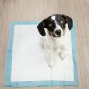 236099 12 purlov hygienicka podlozka 60x60cm 50 ks 21600