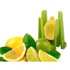 242174 11 krajec ovoce citron limetka