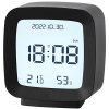 244763 10 budik s datem a teplotou lcd cerny