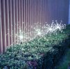 249224 10 gardlov solarni zahradni lampa pampelisky 25477