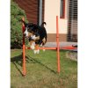 255361 25 dog trainer agility prekazky pro psy baleni 1 sada
