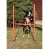 255361 26 dog trainer agility prekazky pro psy baleni 1 sada