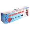 260200 4 boxing speed ball boxovaci hruska s prisavkou varianta 36652