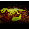 51455 sada pro male archeology tyranosaurus rex