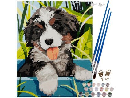 230924 13 maaleo 22780 malovani podle cisel 40 x 30 cm