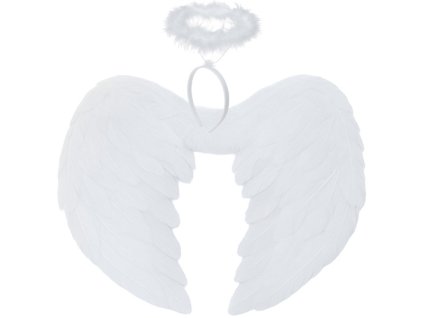 264500 ruhhy andelska kridla 2 kusy 45 x 35 cm 26479