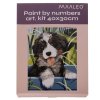 230924 14 maaleo 22780 malovani podle cisel 40 x 30 cm