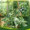 Gardlov 22586 Sponka na rostliny 108 ks