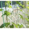 Gardlov Síť - podpora rostlin 2x10m 23978