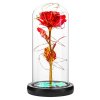 236333 1 apt svitici ruze ve sklenene doze cervena