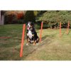 Dog Trainer agility překážky pro psy balení 1 sada