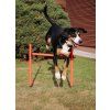 Dog Trainer agility překážky pro psy balení 1 sada