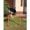 Dog Trainer agility překážky pro psy balení 1 sada