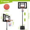 Trizand Basketbalový koš 259 cm
