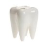 eng pl Teeth holder for toothbrush 334 2