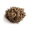 eng pl Rose of Jericho 2 18