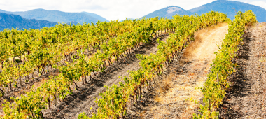 Languedoc-Roussillon