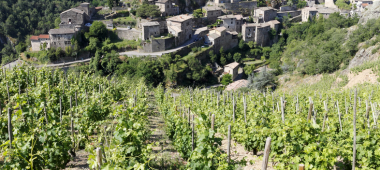 Vallée du Rhône