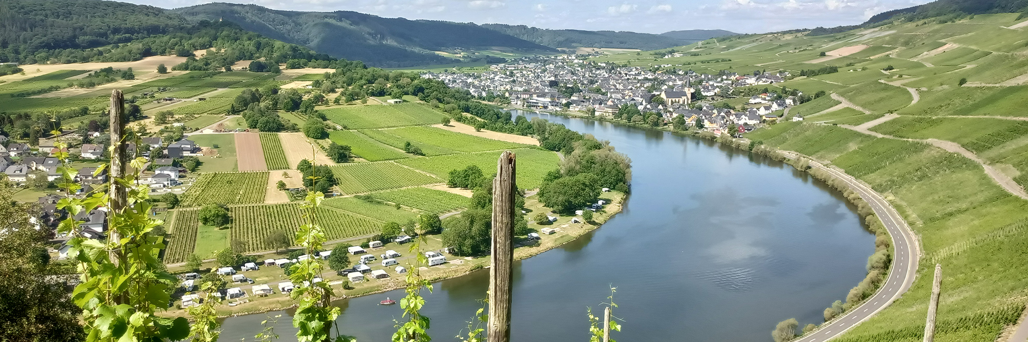 Mosel Cropped