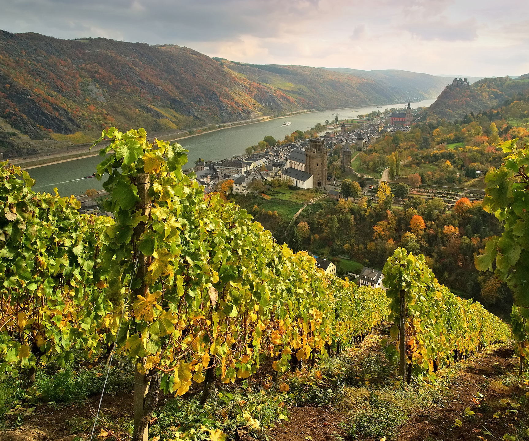 Rheingau