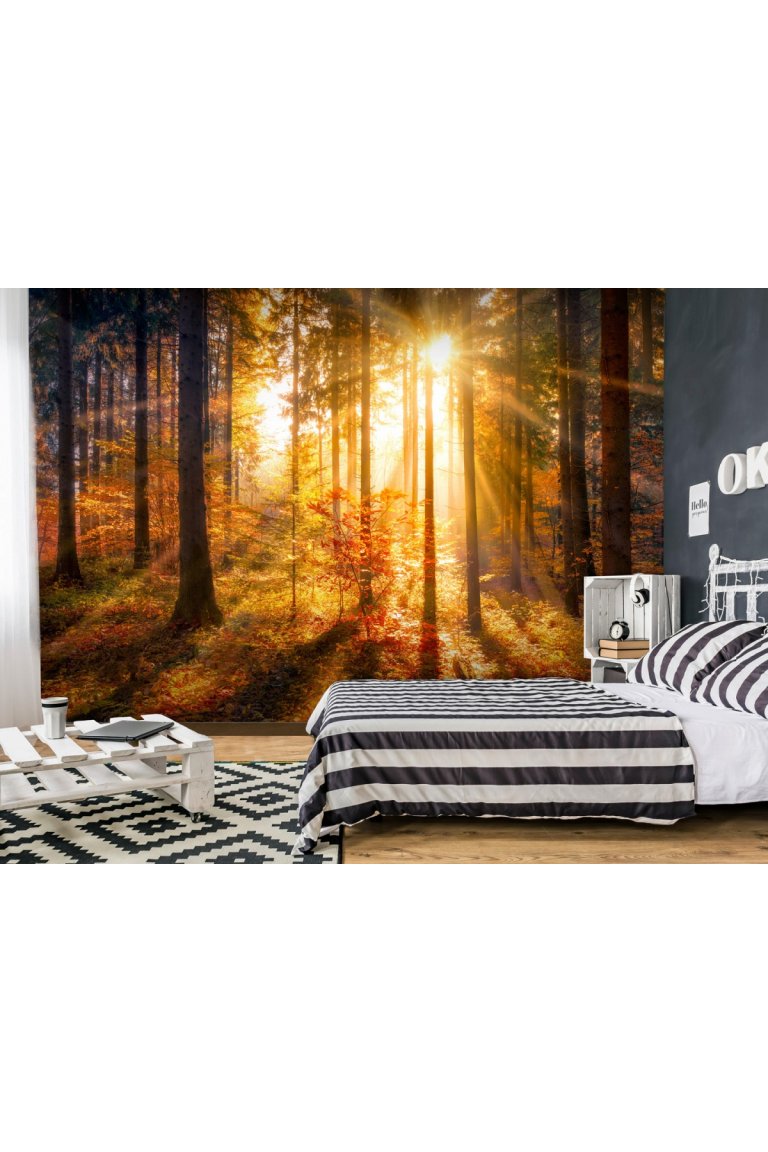 Podzimní trendy v oblasti bytového designu