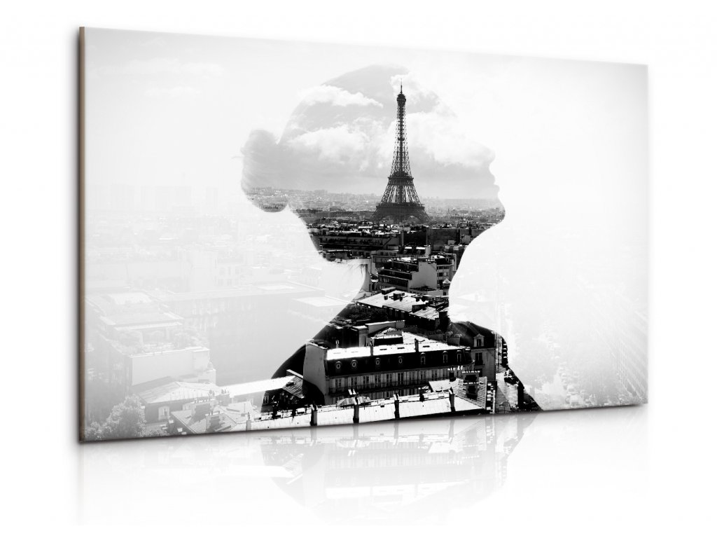 Černobílý obraz dáma v Paříži (Velikost (šířka x výška) 150x100 cm)
