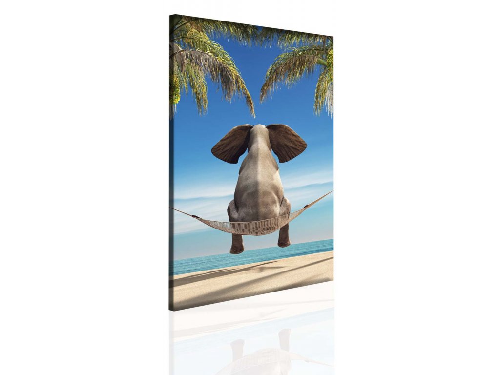 Obraz slon na plazi 50x70 1