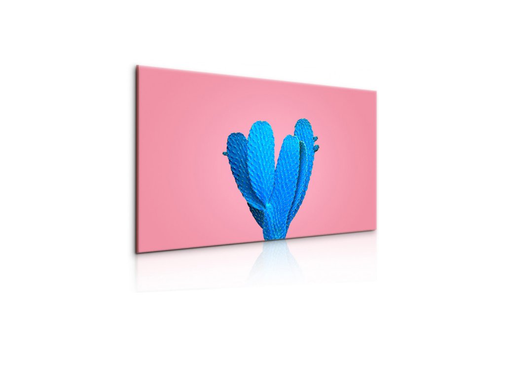 Obraz modrý kaktus