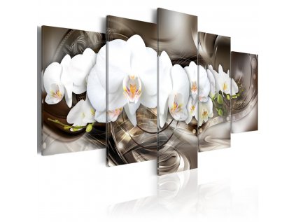Obraz orchidej Brown