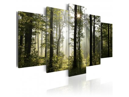 Pětidílný obraz les