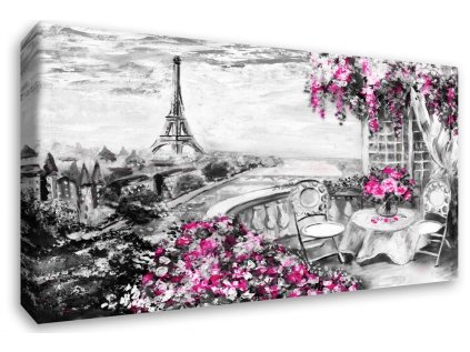 Obraz Paříž malovaná Pink