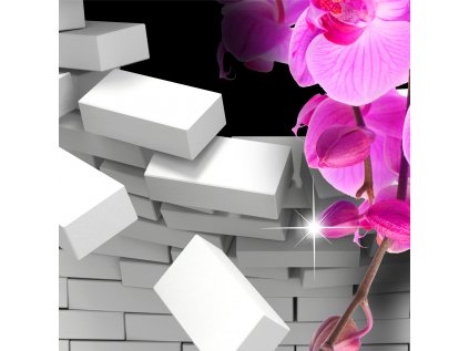 3D obraz orchidej
