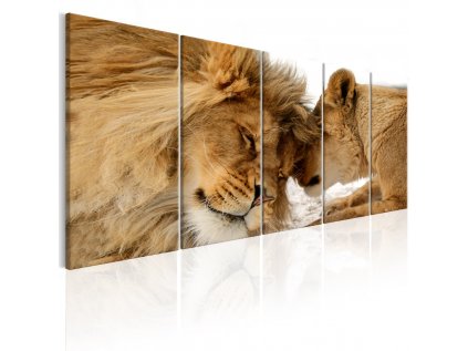 Pětidílný obraz Lvi