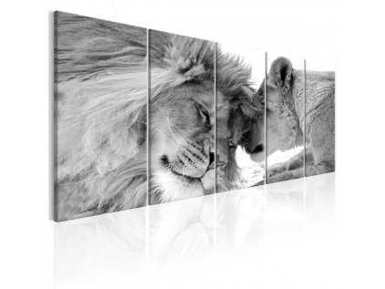 Pětidílný obraz Lvi-černobílý
