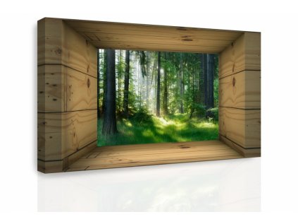 3D obraz výhled do lesa