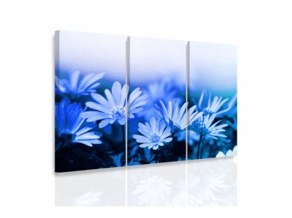Obraz modré květy