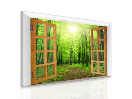 3D obraz okno zelený les