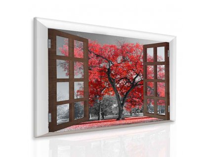 3D obraz okno k podzimu