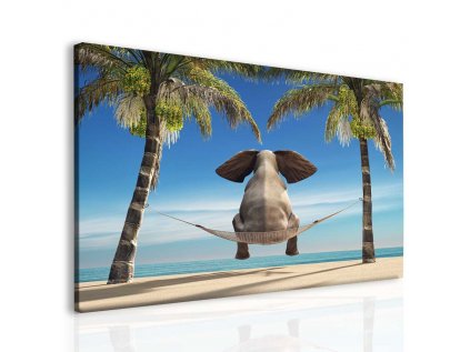 Obraz slon na pláži