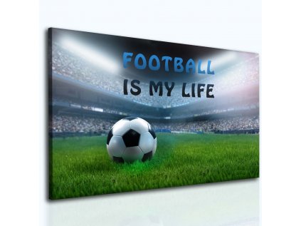 Obraz fotbal je můj život