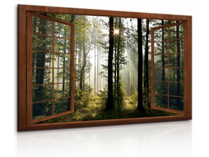 3D obraz dřevěné okno do lesa