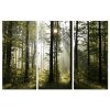 Třídílný obraz lesní kouzlo