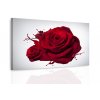 Obraz rudá růže