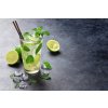 Obraz na plátně mojito