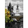 Malba Praha Karluv most 180x120 CB3