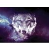 Tapeta vesmírný vlk