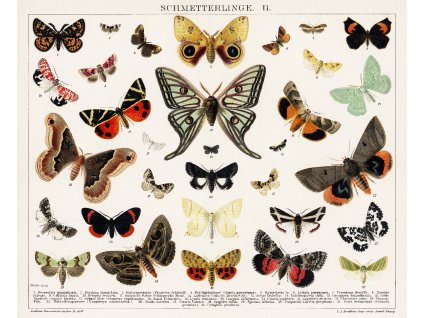 image from rawpixel id 431484 jpeg