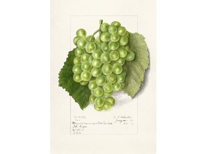 image from rawpixel id 2280049 jpeg