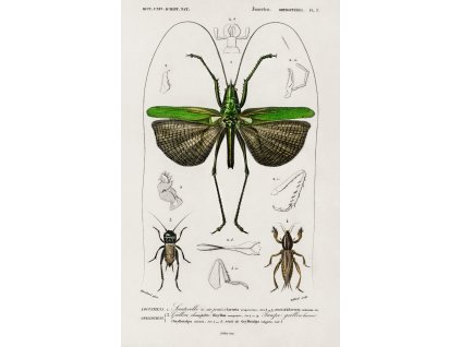 image from rawpixel id 325086 jpeg